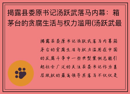 揭露县委原书记汤跃武落马内幕：箱茅台的贪腐生活与权力滥用(汤跃武最新任职)