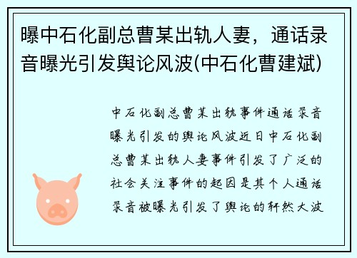 曝中石化副总曹某出轨人妻，通话录音曝光引发舆论风波(中石化曹建斌)