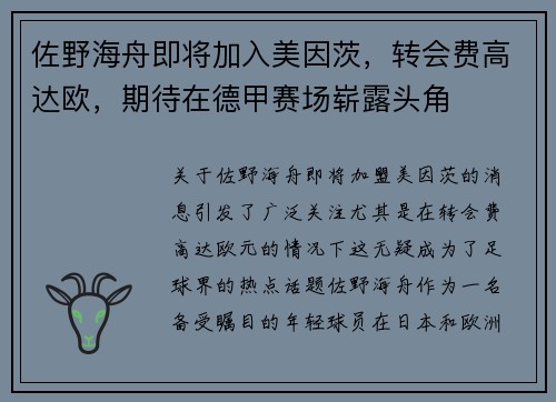 佐野海舟即将加入美因茨，转会费高达欧，期待在德甲赛场崭露头角